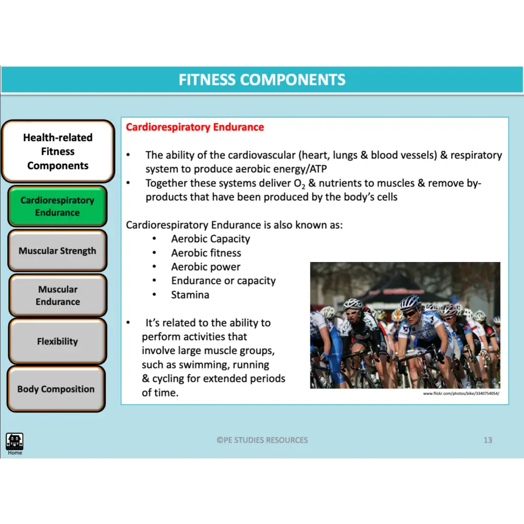 Exercise Physiology PowerPoint - ATAR Unit 1 & 2 PE Studies – PE ...