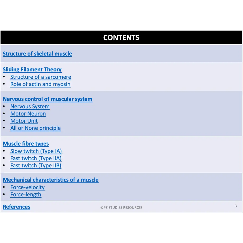 ATAR PE Studies: Functional Anatomy PowerPoint – PE Studies Resources