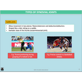 GENERAL Unit 3 & 4 - Functional Anatomy 2nd ed - Powerpoint