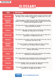 Glossary of muscular system terms with definitions on a red and white background