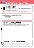 Educational page on functional anatomy with traffic light icon, text, and flow charts.