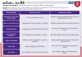 Holistic Health content organizer sheet on access and equity issues for specific populations