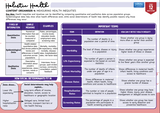 Holistic Health content organiser measuring health inequalities with definitions and examples.