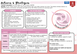 An educational poster titled 'Act 5 Strategies' outlining Ottawa Charter action areas and health promotion strategies, with sections for Objectives, Strategies, and Key Principles, plus a 'How they work together' box and a '11th Level' badge.