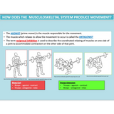 ATAR UNIT 1 & 2 - Functional Anatomy 3rd Edition - Powerpoint