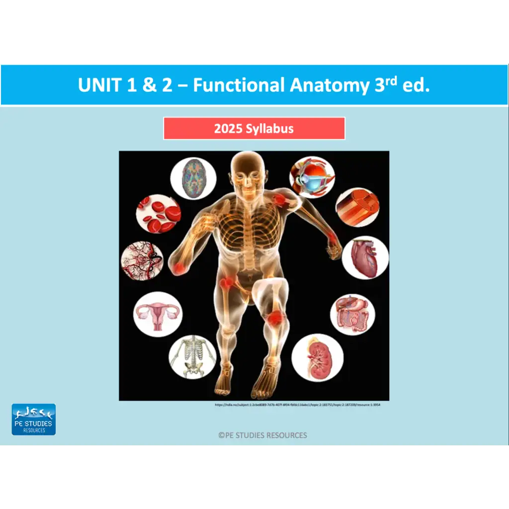 ATAR Unit 1 & 2 Functional Anatomy PowerPoint – PE Studies Resources