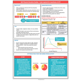 Editable Syllabus Summaries