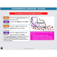 ATAR UNIT 3 & 4 - Exercise Physiology 5th Edition - Powerpoint