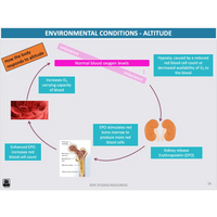 ATAR UNIT 3 & 4 - Exercise Physiology 5th Edition - Powerpoint