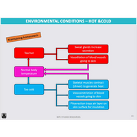 ATAR UNIT 3 & 4 - Exercise Physiology 5th Edition - Powerpoint