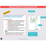 ATAR UNIT 3 & 4 - Functional Anatomy 4th Edition - Powerpoint
