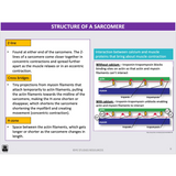 ATAR UNIT 3 & 4 - Functional Anatomy 4th Edition - Powerpoint