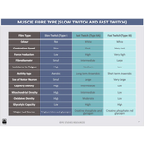 ATAR UNIT 3 & 4 - Functional Anatomy 4th Edition - Powerpoint