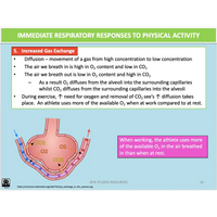 GENERAL UNIT 1 & 2 - Exercise Physiology - Powerpoint