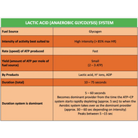 GENERAL UNIT 1 & 2 - Exercise Physiology - Powerpoint