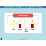 GENERAL Unit 1 & 2 - Functional Anatomy 2nd ed - Powerpoint