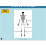 GENERAL Unit 1 & 2 - Functional Anatomy 2nd ed - Powerpoint