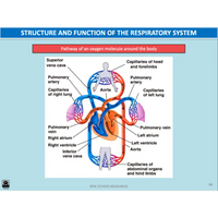 GENERAL Unit 1 & 2 - Functional Anatomy 2nd ed - Powerpoint