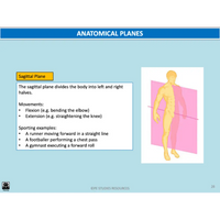 GENERAL Unit 1 & 2 - Functional Anatomy 2nd ed - Powerpoint