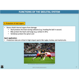 GENERAL Unit 1 & 2 - Functional Anatomy 2nd ed - Powerpoint