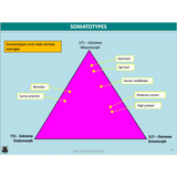 GENERAL Unit 1 & 2 - Functional Anatomy 2nd ed - Powerpoint