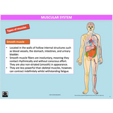 GENERAL Unit 1 & 2 - Functional Anatomy - Powerpoint