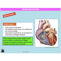 GENERAL Unit 1 & 2 - Functional Anatomy - Powerpoint