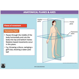 GENERAL Unit 1 & 2 - Functional Anatomy - Powerpoint