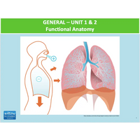 GENERAL Unit 1 & 2 - Functional Anatomy - Powerpoint