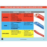 GENERAL Unit 1 & 2 - Functional Anatomy - Powerpoint