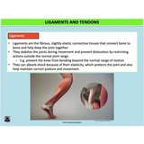 GENERAL Unit 1 & 2 - Functional Anatomy - Powerpoint