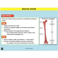 GENERAL Unit 1 & 2 - Functional Anatomy - Powerpoint