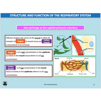 GENERAL Unit 1 & 2 - Functional Anatomy - Powerpoint