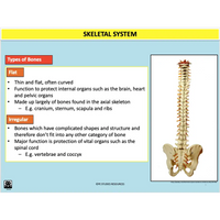 GENERAL Unit 1 & 2 - Functional Anatomy - Powerpoint