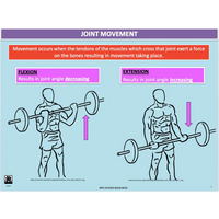 GENERAL Unit 1 & 2 - Functional Anatomy - Powerpoint