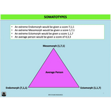 GENERAL Unit 1 & 2 - Functional Anatomy - Powerpoint