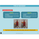 GENERAL Unit 3 & 4 - Functional Anatomy 2nd ed - Powerpoint