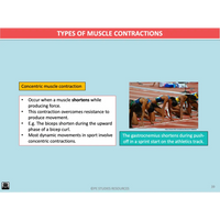 GENERAL Unit 3 & 4 - Functional Anatomy 2nd ed - Powerpoint