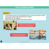 GENERAL Unit 3 & 4 - Functional Anatomy 2nd ed - Powerpoint