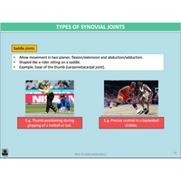 GENERAL Unit 3 & 4 - Functional Anatomy 2nd ed - Powerpoint