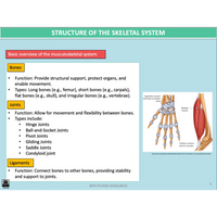 GENERAL Unit 3 & 4 - Functional Anatomy 2nd ed - Powerpoint