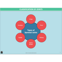 GENERAL Unit 3 & 4 - Functional Anatomy 2nd ed - Powerpoint