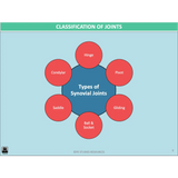 GENERAL Unit 3 & 4 - Functional Anatomy 2nd ed - Powerpoint
