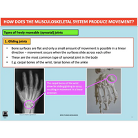 GENERAL Unit 3 & 4 - Functional Anatomy - Powerpoint