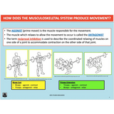 GENERAL Unit 3 & 4 - Functional Anatomy - Powerpoint