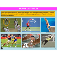 How are the biomechanical principles applied to human movement? - Powerpoint