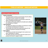 How are the biomechanical principles applied to human movement? - Powerpoint