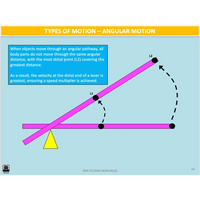 How are the biomechanical principles applied to human movement? - Powerpoint