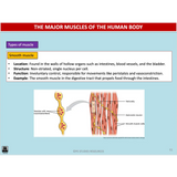 How do the systems of the body influence and respond to movement? - Powerpoint