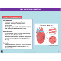 How do the systems of the body influence and respond to movement? - Powerpoint